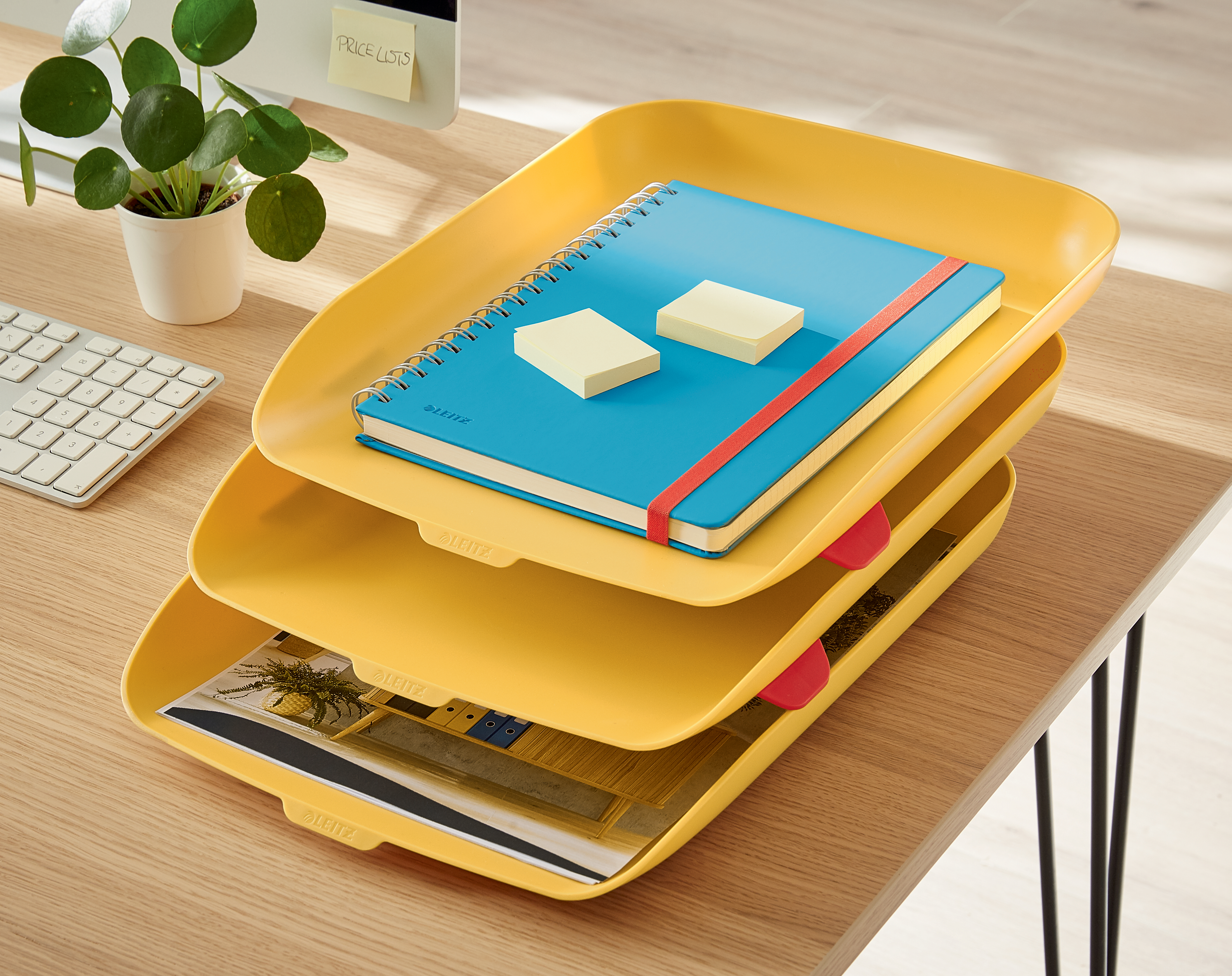 autograf